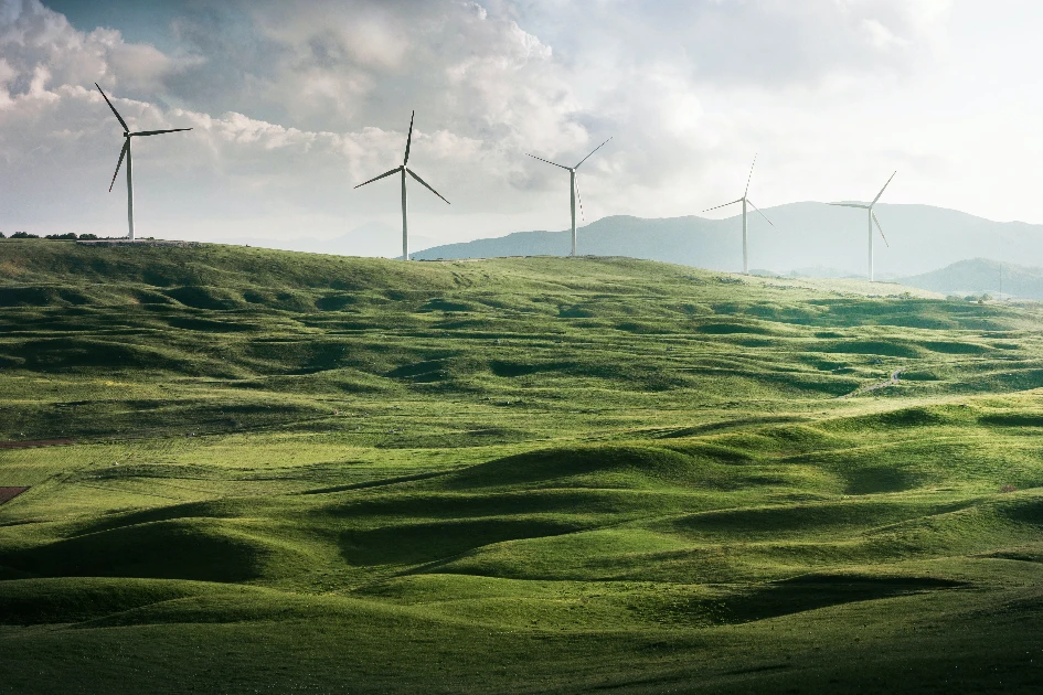 Energia verde: soluții biologice pentru o lume sustenabilă